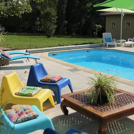 Au Petit Bernerot - Les De L'arbre Voyageur *