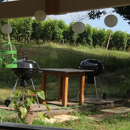 Au Petit Bernerot - Les De L'arbre Voyageur * Eauze