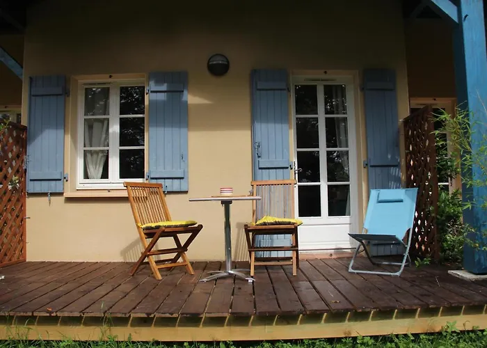 Au Petit Bernerot - Les De L'arbre Voyageur *