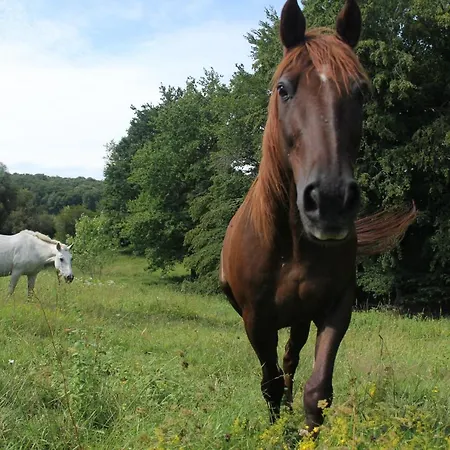 Au Petit Bernerot - Les De L'arbre Voyageur 에오즈