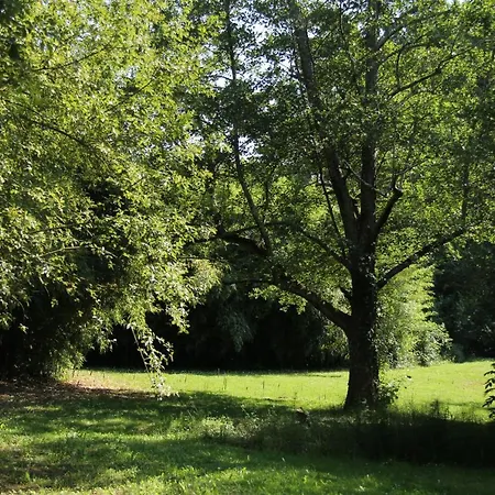 Au Petit Bernerot - Les De L'arbre Voyageur Holiday park