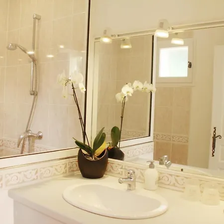 Au Petit Bernerot - Les De L'arbre Voyageur *