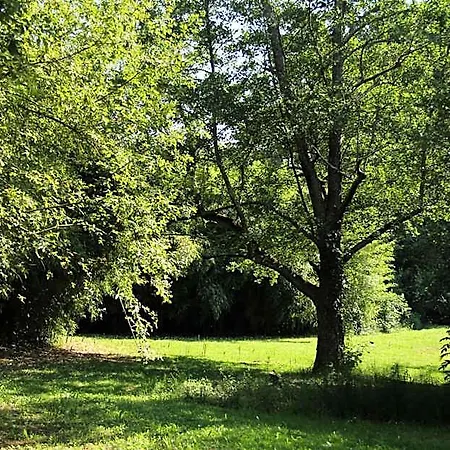 Parque de vacaciones Au Petit Bernerot - Les De L'arbre Voyageur *