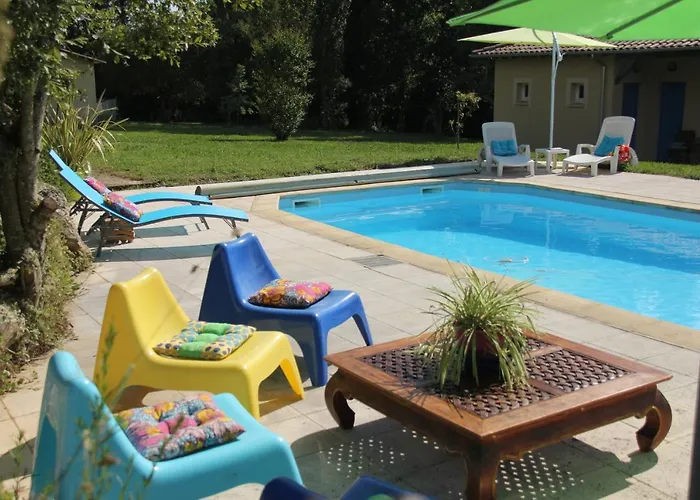 Au Petit Bernerot - Les De L'arbre Voyageur *