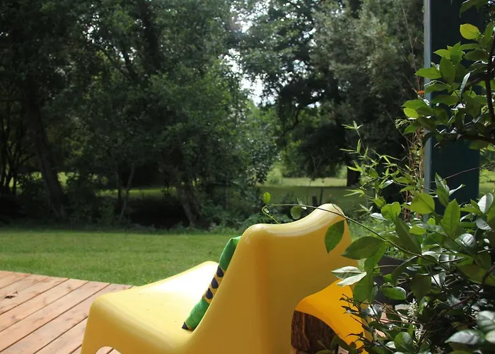 Au Petit Bernerot - Les De L'arbre Voyageur *