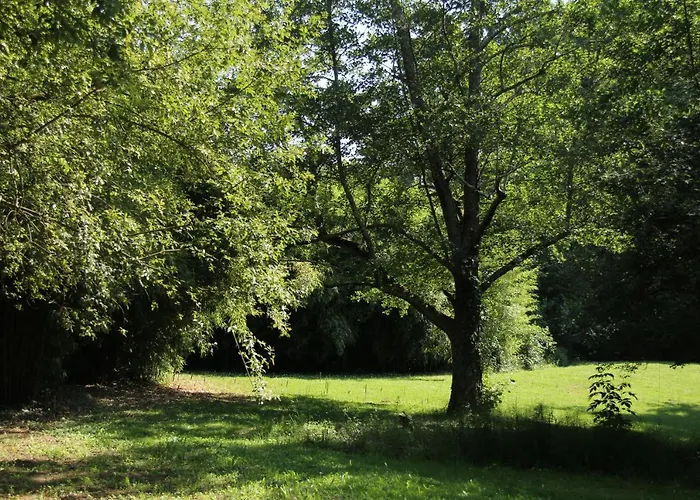 Au Petit Bernerot - Les De L'arbre Voyageur Feriepark