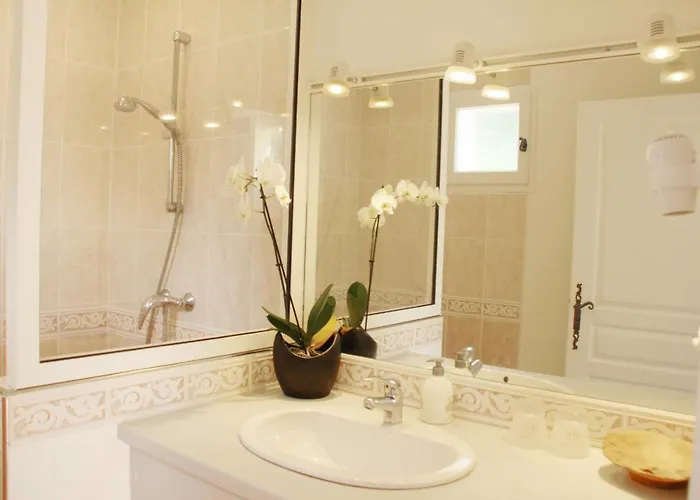 Au Petit Bernerot - Les De L'arbre Voyageur *